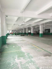 东莞市寮步镇新推出独门独院厂房分租及汽车租赁一体化服务