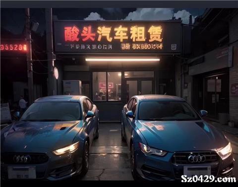 绥中酸头汽车租赁 便捷出行，专业服务